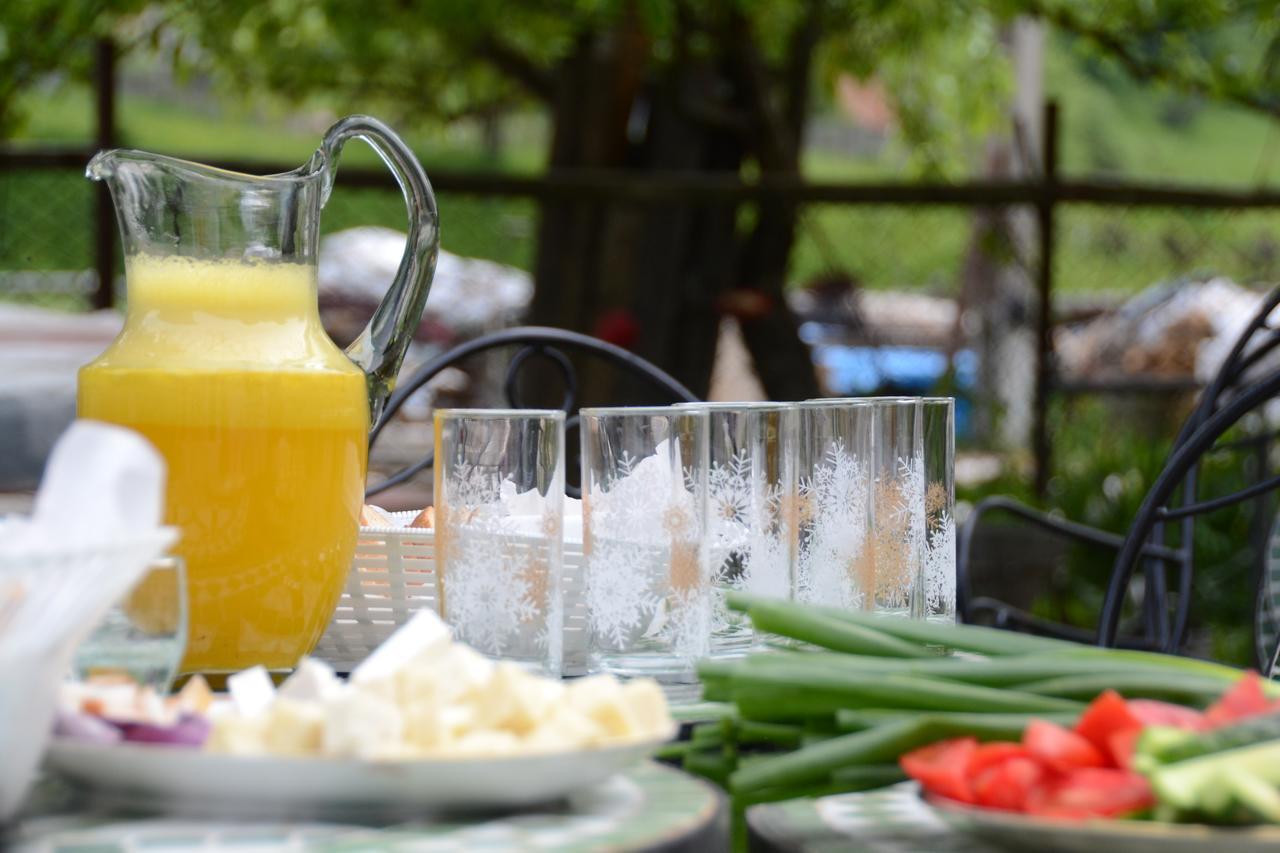 Gospodaria Lui Nea Ion Vama Buzăului Exterior foto