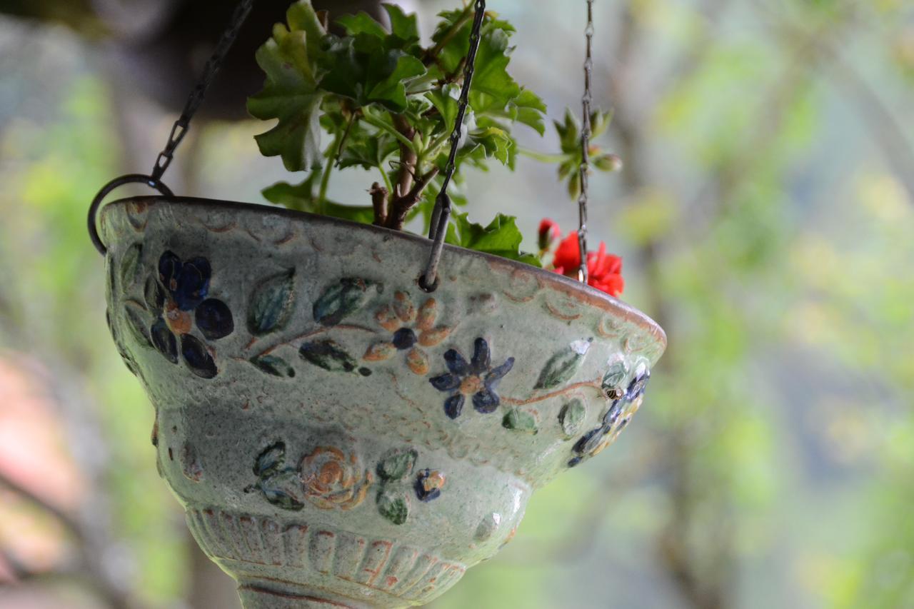 Gospodaria Lui Nea Ion Vama Buzăului Exterior foto