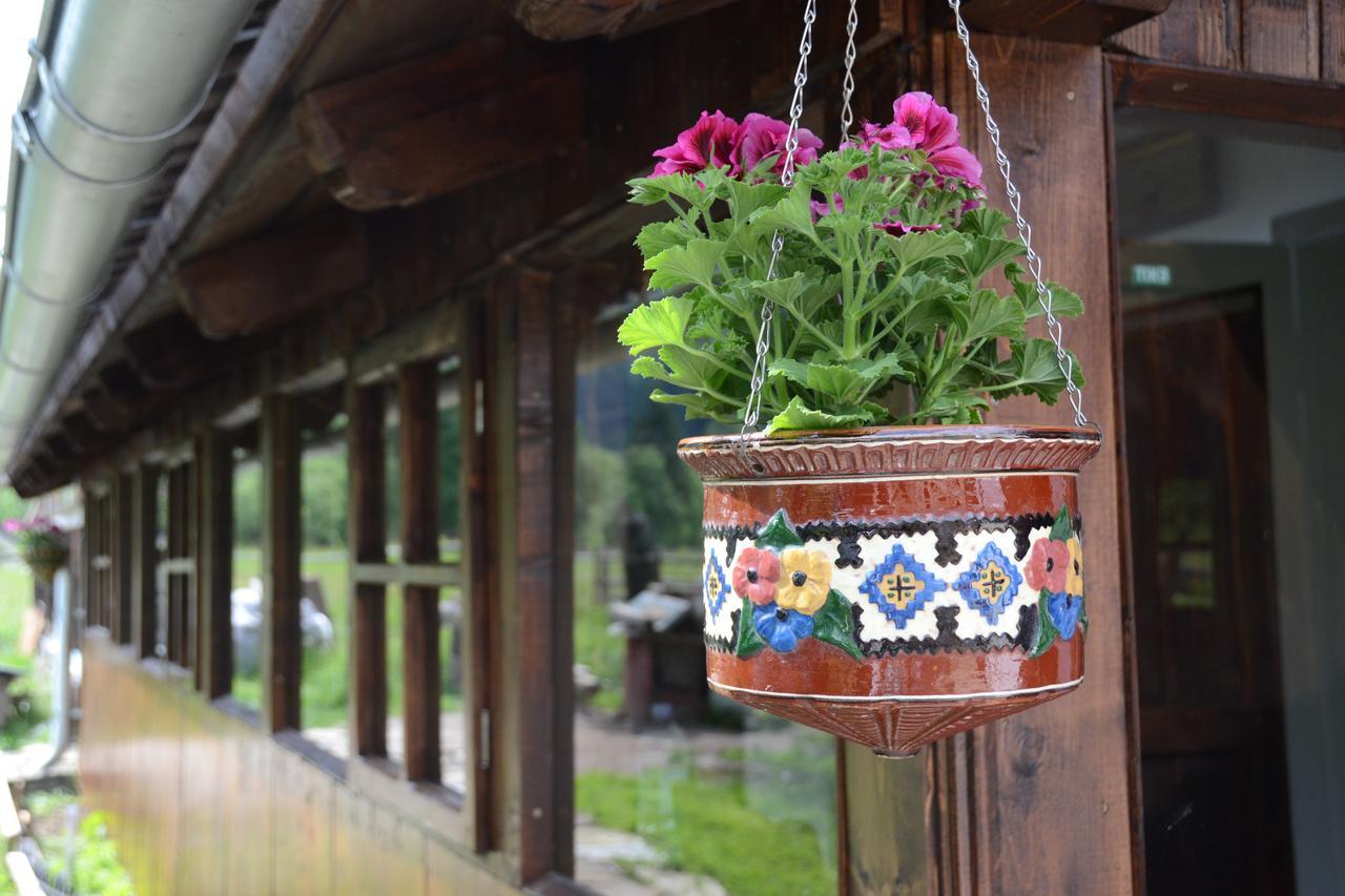 Gospodaria Lui Nea Ion Vama Buzăului Exterior foto
