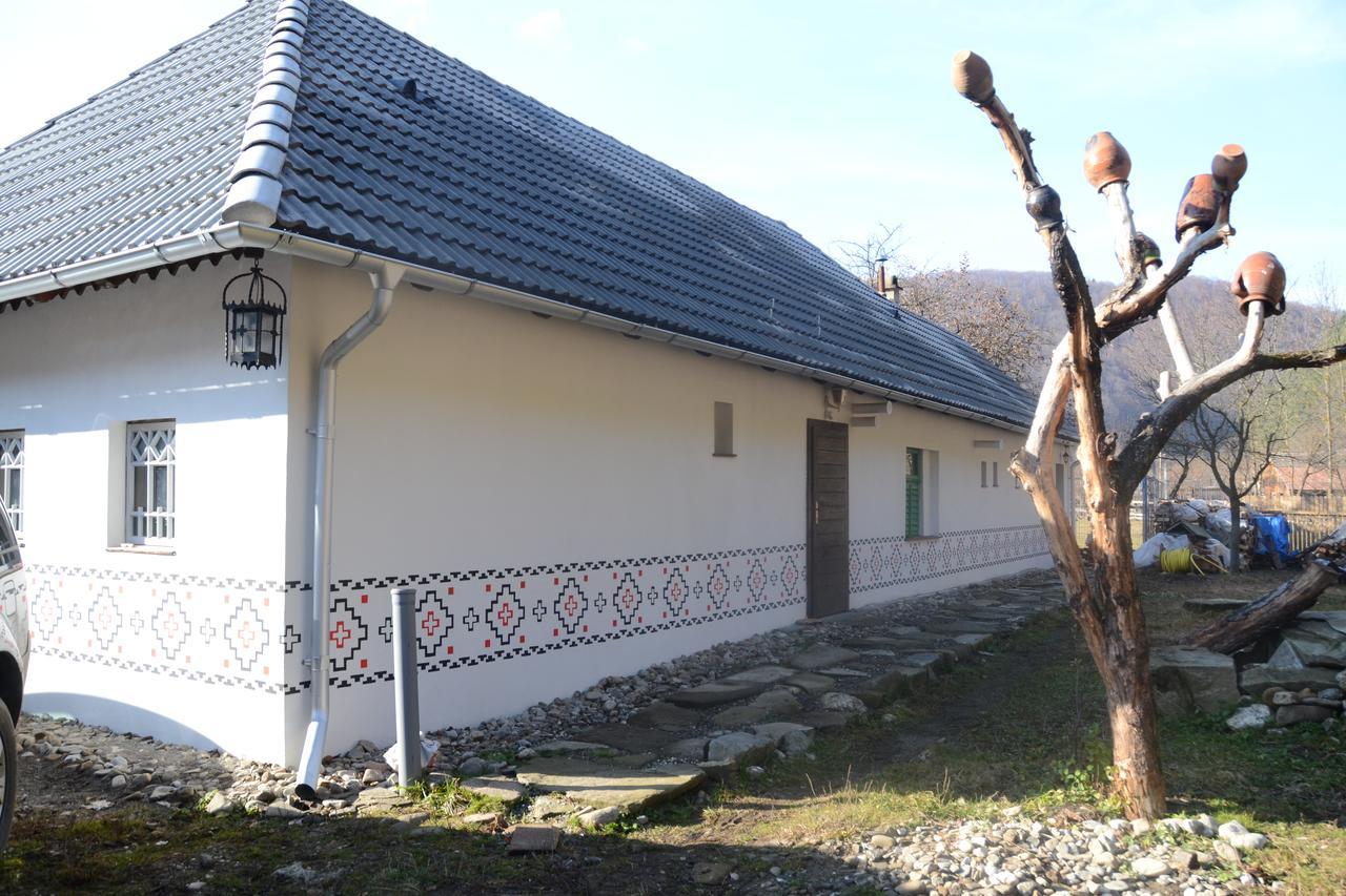 Gospodaria Lui Nea Ion Vama Buzăului Exterior foto