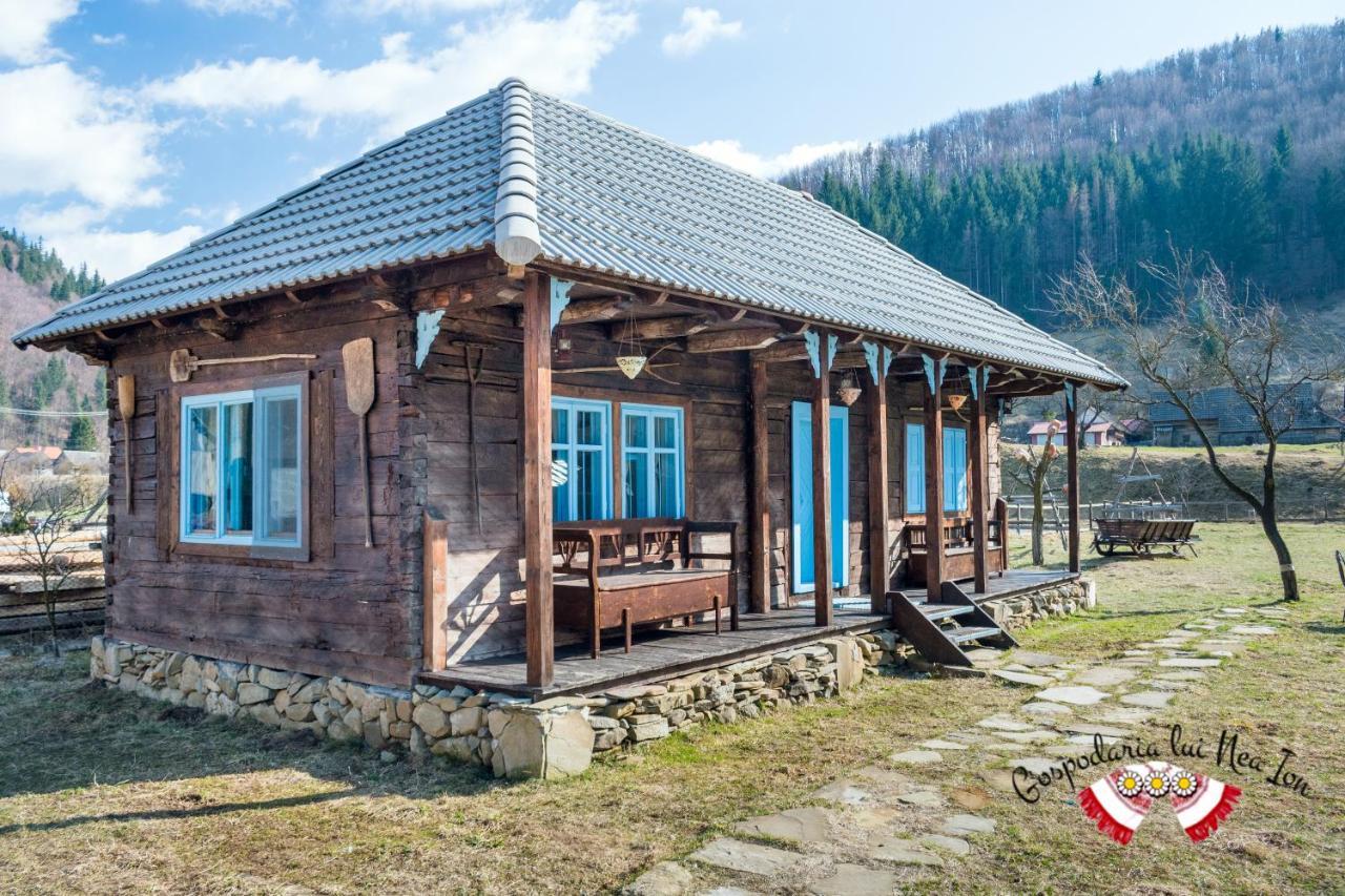 Gospodaria Lui Nea Ion Vama Buzăului Exterior foto